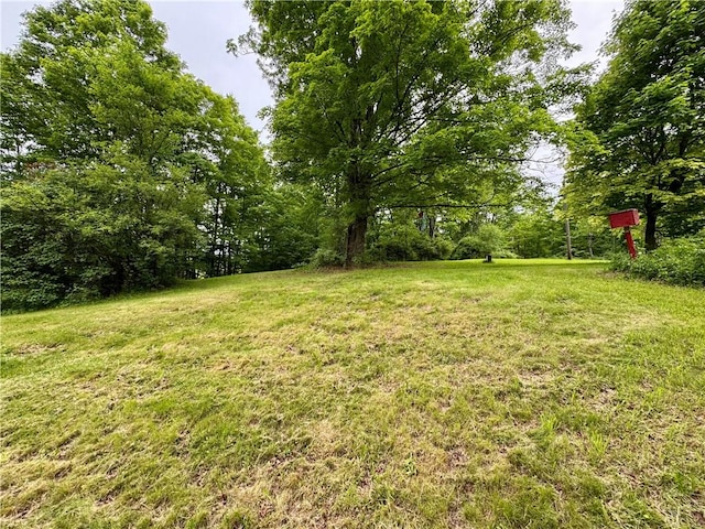 4431 Dyke Rd, Hornby, NY 14830 - photo 17
