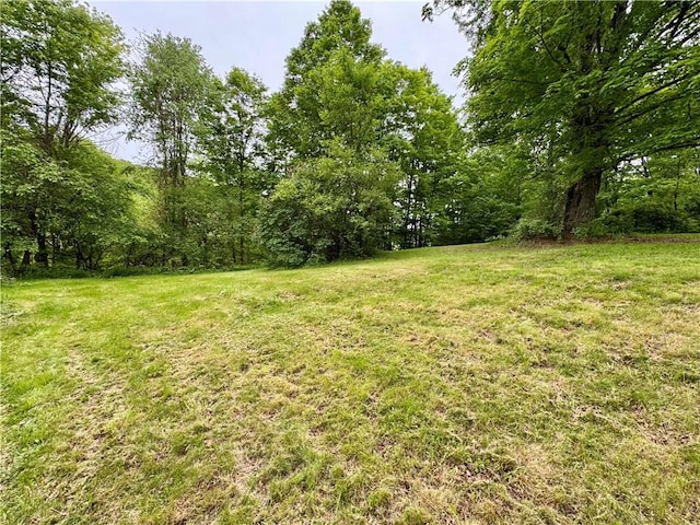 4431 Dyke Rd, Hornby, NY 14830 - photo 18