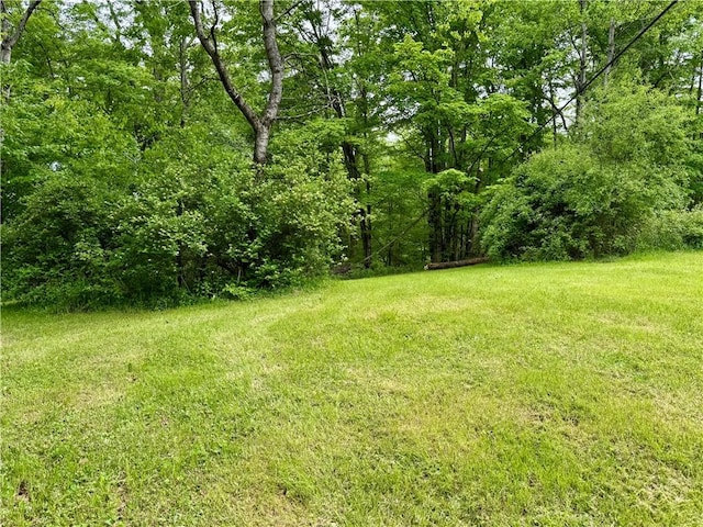 4431 Dyke Rd, Hornby, NY 14830 - photo 19