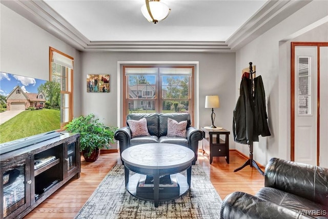 23 Gatehouse Ln, Amherst, NY 14051 - living room with light wood-style floors, a raised ceiling, and baseboards