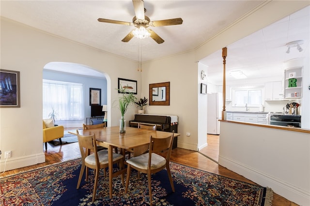 43 Woodland Park, Rochester, NY 14610 - dining area with arched walkways, light wood-style floors, healthy amount of natural light, ceiling fan, and ornamental molding