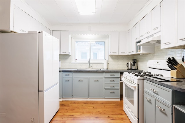 43 Woodland Park, Rochester, NY 14610 - kitchen featuring white appliances, a sink, under cabinet range hood, light wood-style flooring, and decorative backsplash