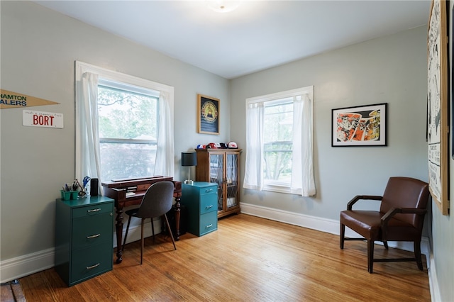 43 Woodland Park, Rochester, NY 14610 - home office with light wood-type flooring, plenty of natural light, and baseboards
