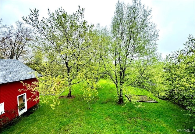 6723 Akron Rd, Lockport Town, NY 14094 - view of grassy yard with an outbuilding