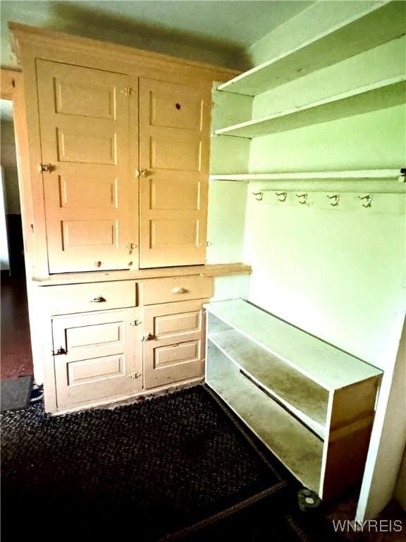 6723 Akron Rd, Lockport Town, NY 14094 - view of closet