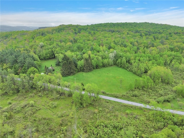 543 Middlefield Rd, Westford, NY 12155 - aerial view of a forest