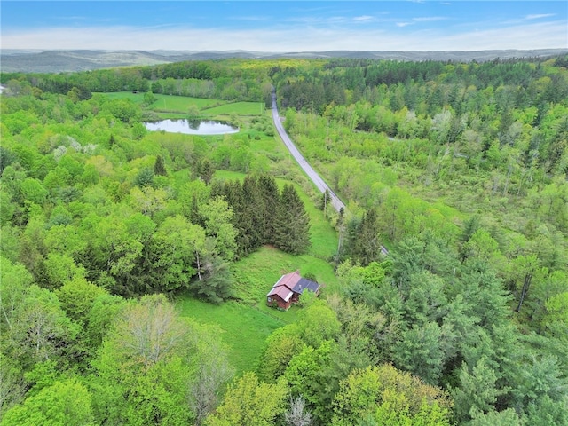 543 Middlefield Rd, Westford, NY 12155 - bird's eye view of a forest and a nearby body of water