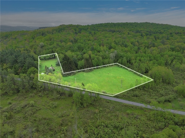 543 Middlefield Rd, Westford, NY 12155 - aerial view of property's location featuring a heavily wooded area and property boundaries highlighted