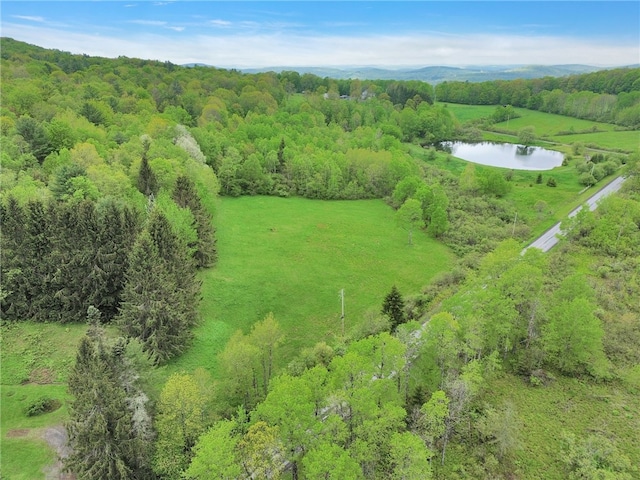 543 Middlefield Rd, Westford, NY 12155 - aerial view of a large body of water and a forest