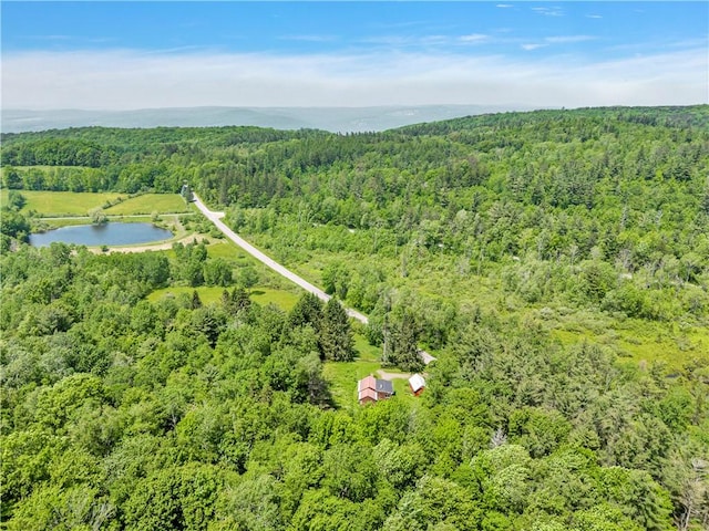 543 Middlefield Rd, Westford, NY 12155 - aerial view of a heavily wooded area and a large body of water