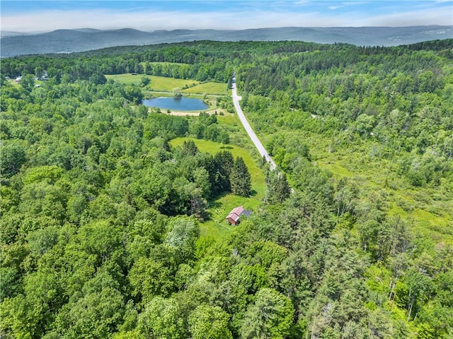 543 Middlefield Rd, Westford, NY 12155 - bird's eye view of a forest and a water and mountain view