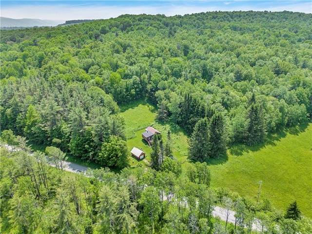 543 Middlefield Rd, Westford, NY 12155 - bird's eye view of a heavily wooded area