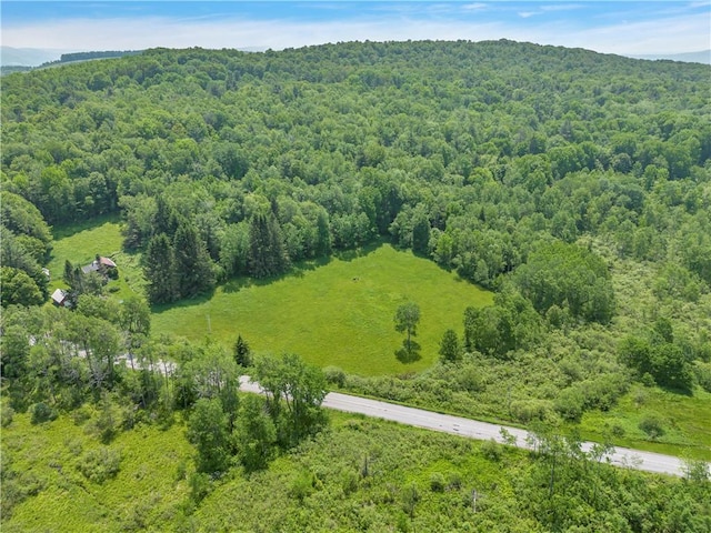 543 Middlefield Rd, Westford, NY 12155 - drone / aerial view of a forest