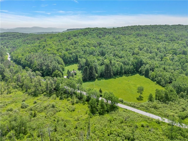 543 Middlefield Rd, Westford, NY 12155 - bird's eye view of a heavily wooded area and a mountainous background