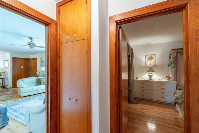 9 N Clinton St, North Dansville, NY 14437 - corridor with light wood finished floors