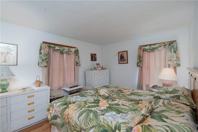 9 N Clinton St, North Dansville, NY 14437 - bedroom with light wood-style floors