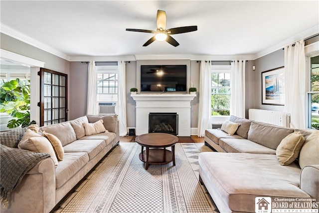 526 Central Ave, Dunkirk-City, NY 14048 - living area featuring a ceiling fan, ornamental molding, a glass covered fireplace, light wood finished floors, and cooling unit