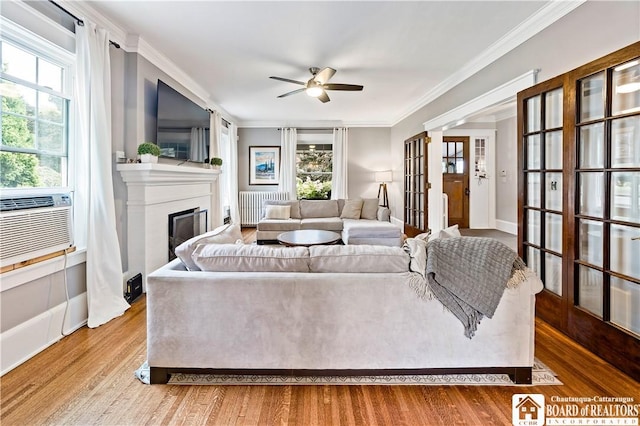526 Central Ave, Dunkirk-City, NY 14048 - living room with ceiling fan, ornamental molding, wood finished floors, a glass covered fireplace, and radiator heating unit