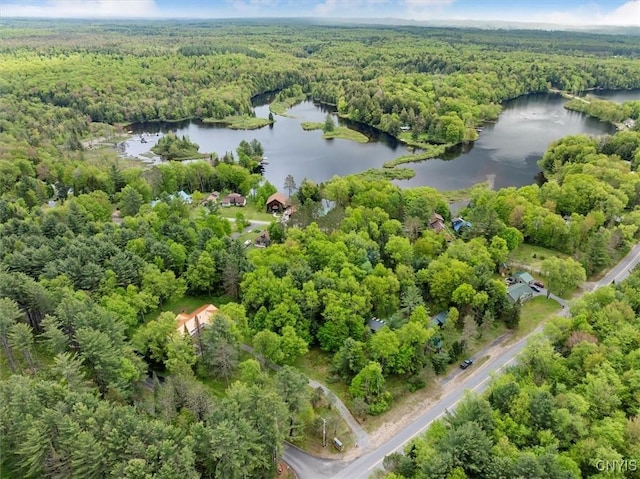 10814 Camp Ground Rd, Forestport, NY 13338 - photo 3