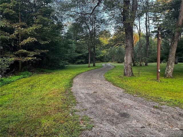 10814 Camp Ground Rd, Forestport, NY 13338 - photo 39