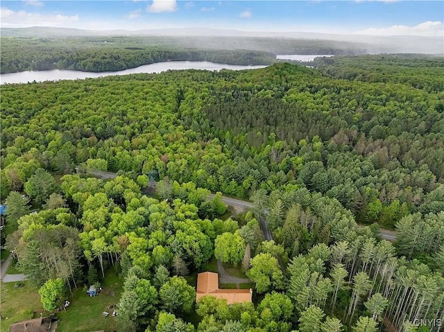 10814 Camp Ground Rd, Forestport, NY 13338 - photo 41