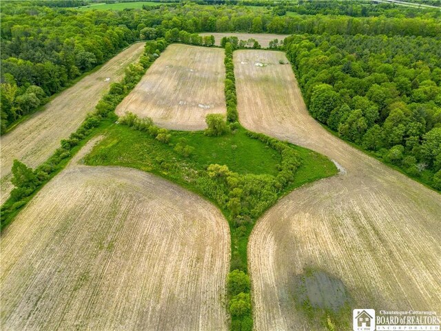 3051 S Rte 62, Poland, NY 14747 - photo 4
