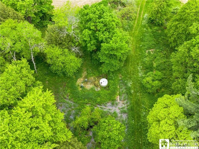 3051 S Rte 62, Poland, NY 14747 - photo 7