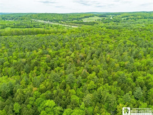 3051 S Rte 62, Poland, NY 14747 - photo 8
