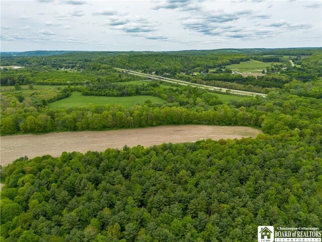 3051 S Rte 62, Poland, NY 14747 - photo 10