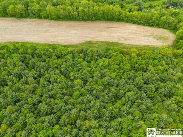 3051 S Rte 62, Poland, NY 14747 - photo 11