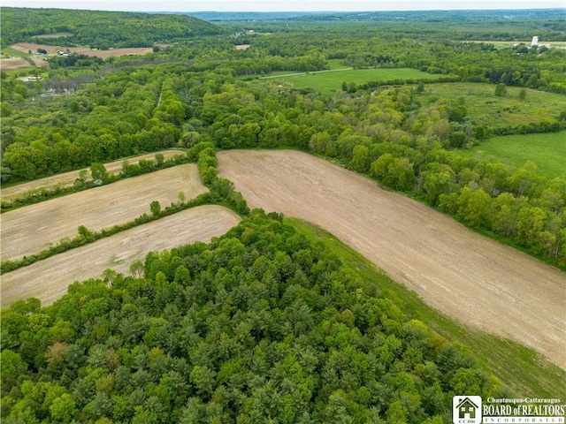 3051 S Rte 62, Poland, NY 14747 - photo 12