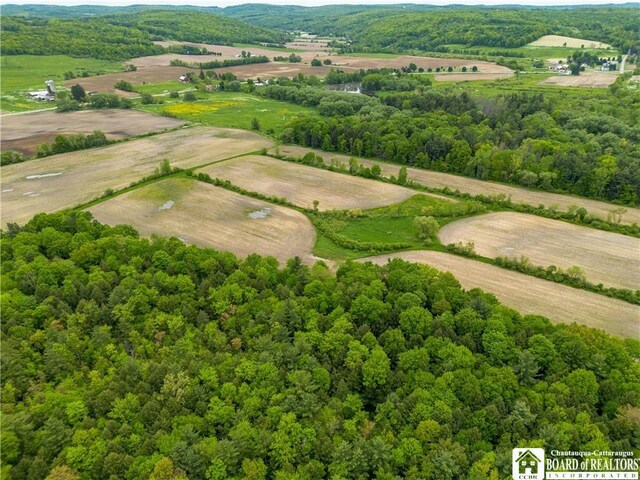 3051 S Rte 62, Poland, NY 14747 - photo 13