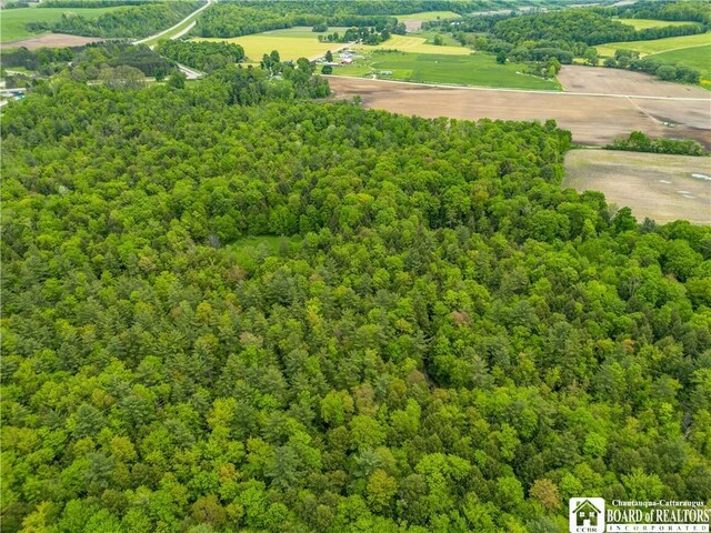 3051 S Rte 62, Poland, NY 14747 - photo 14