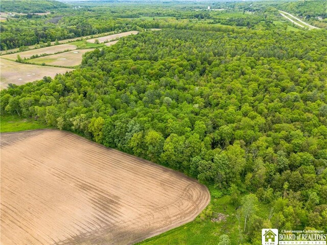 3051 S Rte 62, Poland, NY 14747 - photo 17