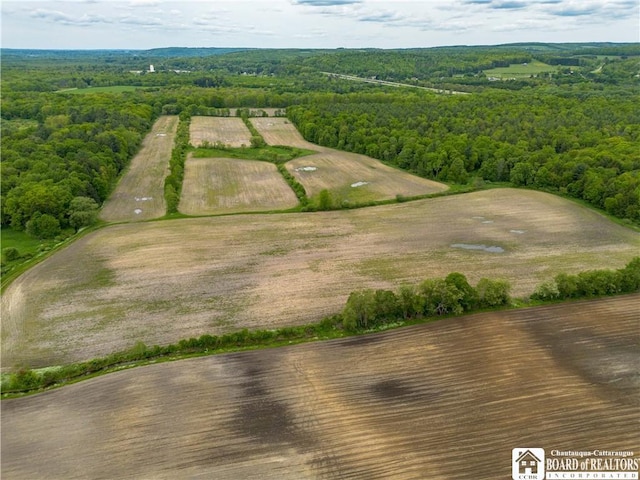 3051 S Rte 62, Poland, NY 14747 - photo 3