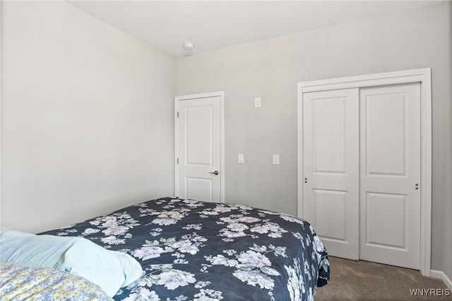 1167 Guinevere Dr, Greece, NY 14626 - bedroom with carpet flooring and a closet