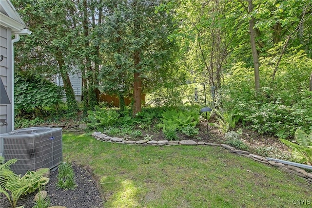1607 Stolp Ave, Syracuse, NY 13207 - view of yard featuring central AC unit