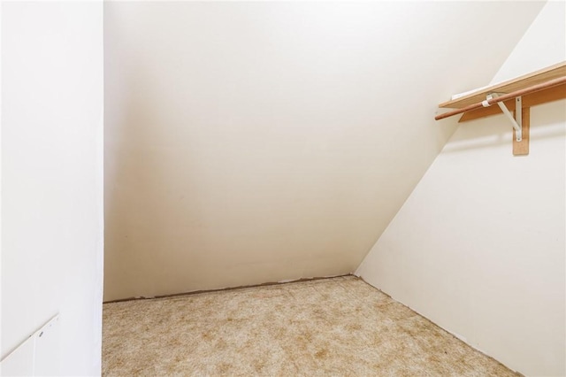 6695 Fisher Rd, Ontario, NY 14589 - spacious closet with carpet floors