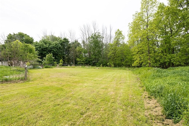 6695 Fisher Rd, Ontario, NY 14589 - view of green lawn