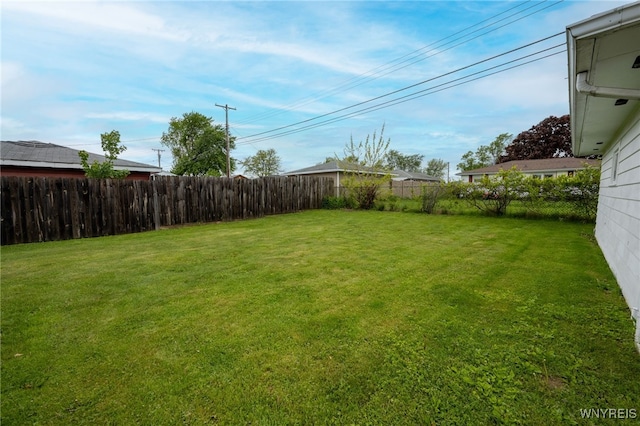 4314 Elmwood Ave, Hamburg, NY 14219 - view of yard
