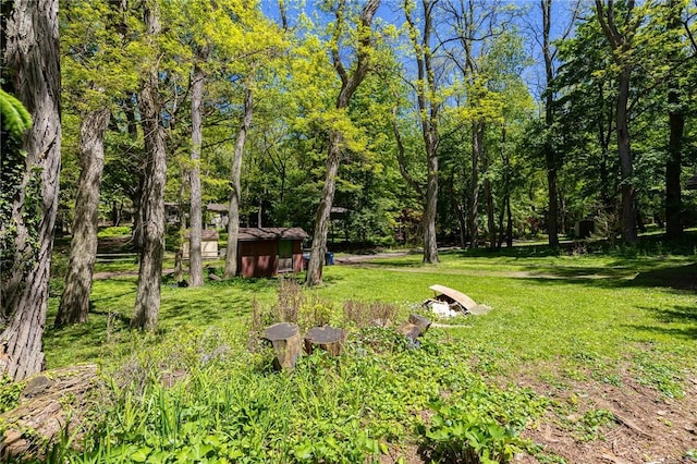 182 Stony Point Trl, Webster, NY 14580 - view of green lawn