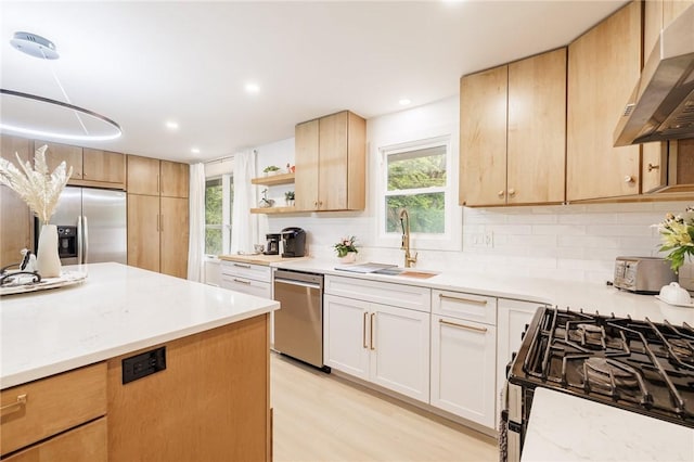 182 Stony Point Trl, Webster, NY 14580 - kitchen featuring appliances with stainless steel finishes, wall chimney exhaust hood, a sink, tasteful backsplash, and light wood-style floors