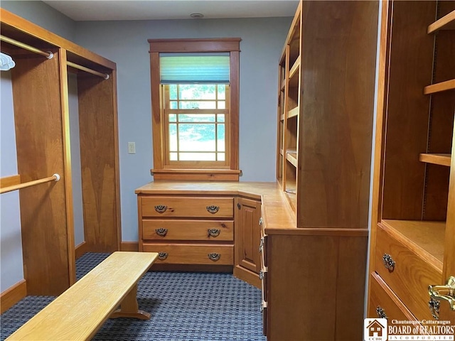 6753 Poverty Hill Rd, Ellicottville, NY 14731 - view of walk in closet
