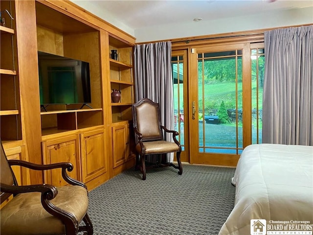 6753 Poverty Hill Rd, Ellicottville, NY 14731 - bedroom with carpet flooring and access to outside