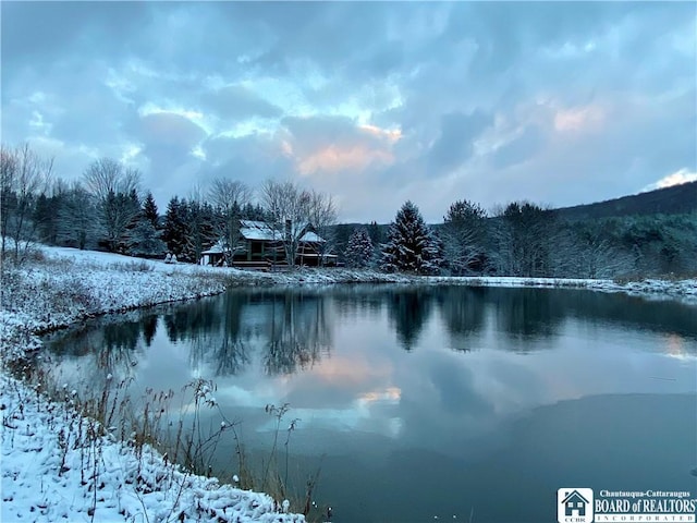 6753 Poverty Hill Rd, Ellicottville, NY 14731 - water view with a heavily wooded area