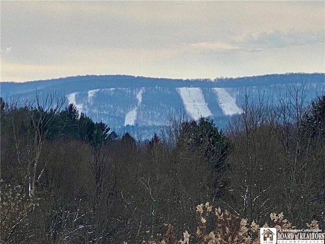 6753 Poverty Hill Rd, Ellicottville, NY 14731 - view of mountain backdrop featuring a forest