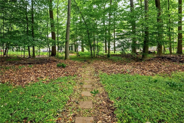 169 Watson Rd, Penfield, NY 14450 - view of nature