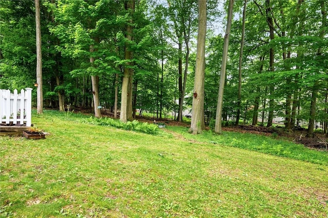 169 Watson Rd, Penfield, NY 14450 - view of yard