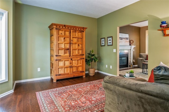 169 Watson Rd, Penfield, NY 14450 - living area featuring wood finished floors, a glass covered fireplace, and baseboards