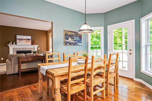 169 Watson Rd, Penfield, NY 14450 - dining space featuring wood finished floors, healthy amount of natural light, and a fireplace